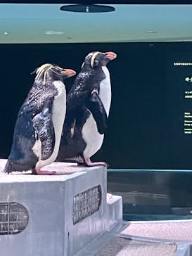 AOAO SAPPOROに投稿された画像（2024/9/2）