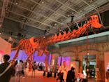 巨大恐竜展2024に投稿された画像（2024/9/2）