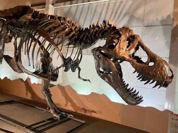 巨大恐竜展2024に投稿された画像（2024/9/2）