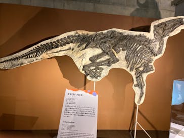 巨大恐竜展2024に投稿された画像（2024/9/2）