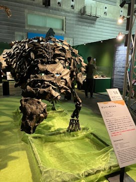 巨大恐竜展2024に投稿された画像（2024/9/2）