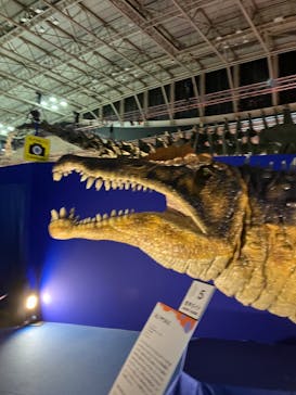 巨大恐竜展2024に投稿された画像（2024/9/2）