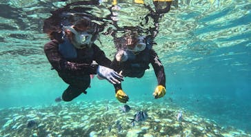 青の洞窟専門店　沖縄ダイビングショップ和に投稿された画像（2024/9/2）