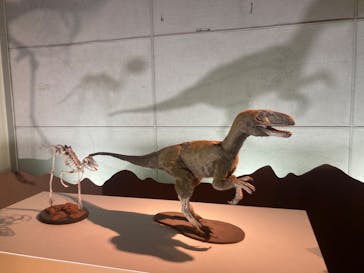 巨大恐竜展2024に投稿された画像（2024/9/2）