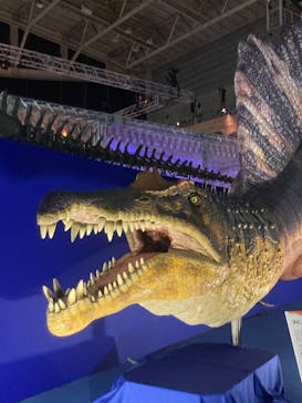 巨大恐竜展2024に投稿された画像（2024/9/2）