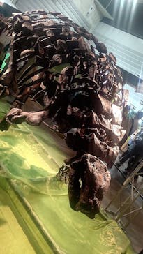 巨大恐竜展2024に投稿された画像（2024/9/2）