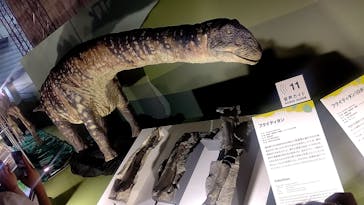 巨大恐竜展2024に投稿された画像（2024/9/2）