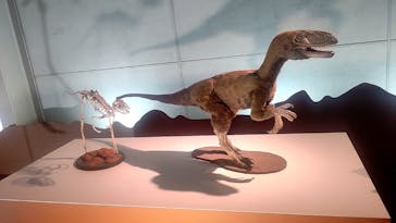 巨大恐竜展2024に投稿された画像（2024/9/2）