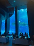沖縄美ら海水族館に投稿された画像（2024/9/2）
