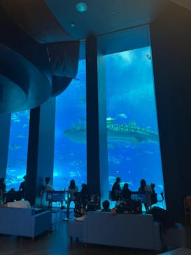 沖縄美ら海水族館に投稿された画像（2024/9/2）
