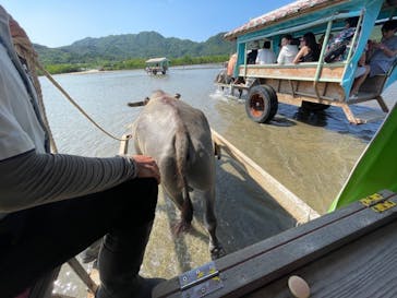 西表島 ADVENTURE PiPi（アドベンチャーピピ）に投稿された画像（2024/9/2）