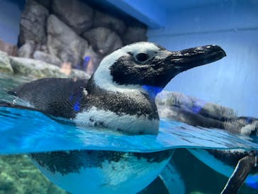 横浜・八景島シーパラダイスに投稿された画像（2024/9/2）