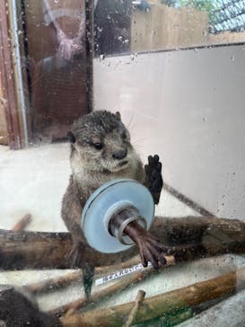 横浜・八景島シーパラダイスに投稿された画像（2024/9/2）