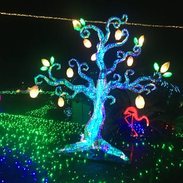 伊豆ぐらんぱる公園に投稿された画像（2024/9/2）