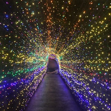 伊豆ぐらんぱる公園に投稿された画像（2024/9/2）