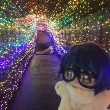 伊豆ぐらんぱる公園に投稿された画像（2024/9/2）