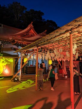 江の島シーキャンドルに投稿された画像（2024/9/2）