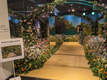 モネ＆フレンズ・アライブに投稿された画像（2024/9/2）