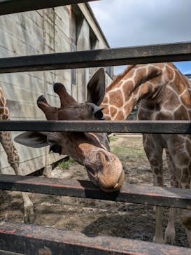 宇都宮動物園に投稿された画像（2024/9/2）