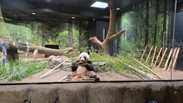 恩賜上野動物園に投稿された画像（2024/9/3）