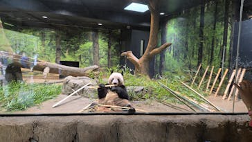 恩賜上野動物園に投稿された画像（2024/9/3）