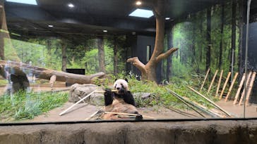 恩賜上野動物園に投稿された画像（2024/9/3）