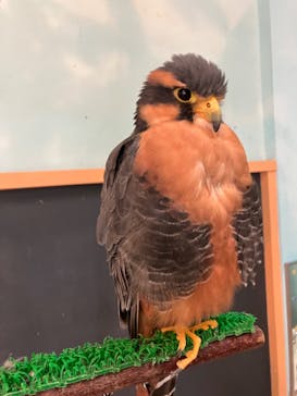 Moff animal cafe iias つくば店に投稿された画像（2024/9/3）