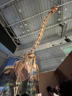 巨大恐竜展2024に投稿された画像（2024/9/3）