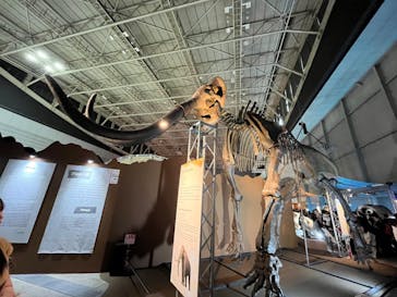 巨大恐竜展2024に投稿された画像（2024/9/3）