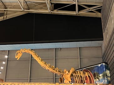 巨大恐竜展2024に投稿された画像（2024/9/3）