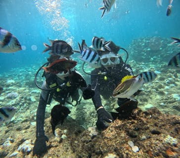 沖縄マリンサービス碧に投稿された画像（2024/9/3）