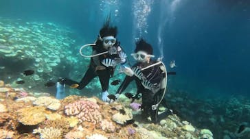 青の洞窟専門店　沖縄ダイビングショップ和に投稿された画像（2024/9/3）