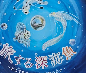環境水族館アクアマリンふくしまに投稿された画像（2024/9/3）
