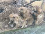 日立市かみね動物園に投稿された画像（2024/9/3）