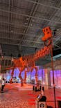 巨大恐竜展2024に投稿された画像（2024/9/3）
