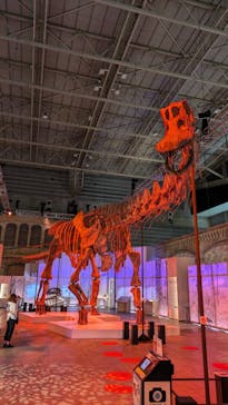 巨大恐竜展2024に投稿された画像（2024/9/3）
