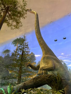 福井県立恐竜博物館に投稿された画像（2024/9/3）