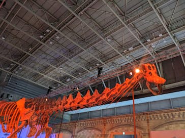 巨大恐竜展2024に投稿された画像（2024/9/3）