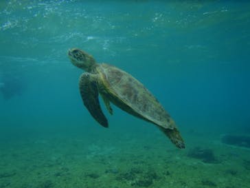 マリンカンパニーに投稿された画像（2024/9/3）