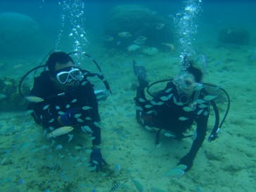 マリンカンパニーに投稿された画像（2024/9/3）