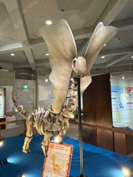 岐阜県博物館に投稿された画像（2024/9/3）