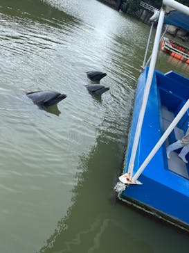 下田海中水族館に投稿された画像（2024/9/3）