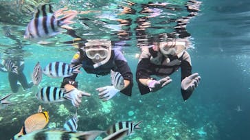 武藤潜水に投稿された画像（2024/9/3）