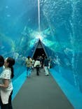 環境水族館アクアマリンふくしまに投稿された画像（2024/9/3）