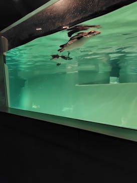 AOAO SAPPOROに投稿された画像（2024/9/3）