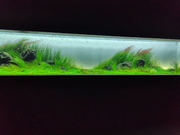 AOAO SAPPOROに投稿された画像（2024/9/3）