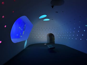 大分マリーンパレス水族館 「うみたまご」に投稿された画像（2024/9/3）