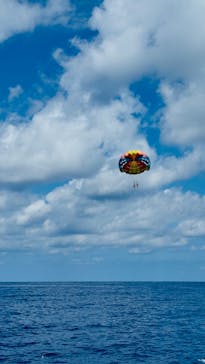 Sea World（シーワールド）に投稿された画像（2024/9/3）