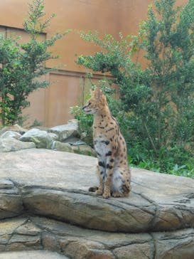 那須どうぶつ王国に投稿された画像（2024/9/3）