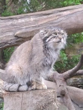 那須どうぶつ王国に投稿された画像（2024/9/3）